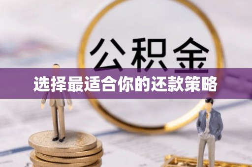 临夏选择最适合你的还款策略