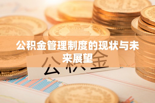 临夏公积金管理制度的现状与未来展望